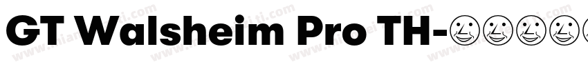 GT Walsheim Pro TH字体转换